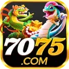 7075 Logo